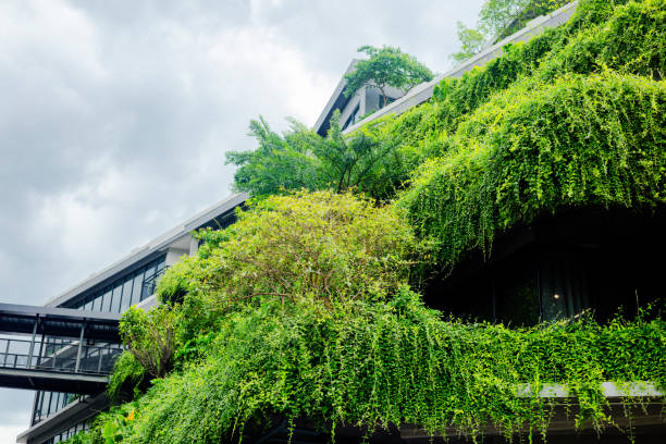 istock Rooftop and facade of modern green building 2163467976