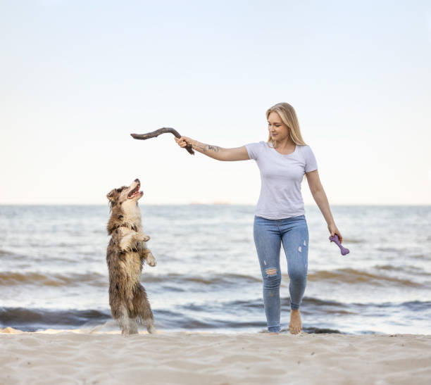 istock Young woman having fun on sandy beach with her dog catching a stick 2163468686