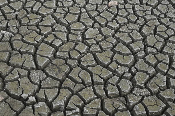 Dry and cracked soil ground during drought