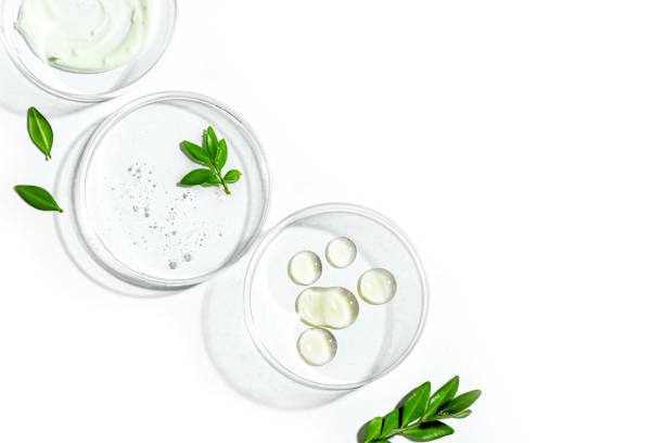 istock Petri dishes with green plants 2163471445