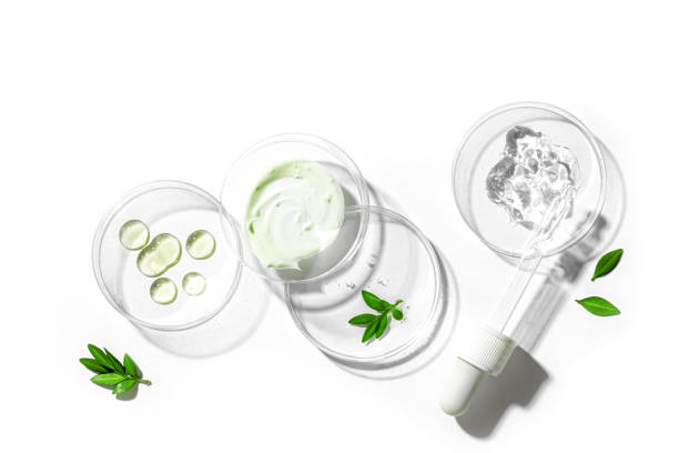istock Petri dishes with green plants 2163471449