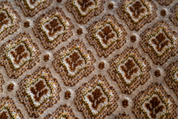 close-up of a pattern on an old armchair cover