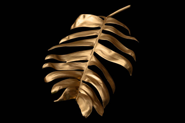 istock Tropical leaves gold and black, can be used as background(Monstera,palm,coconut)fern,clipping path 2163474021