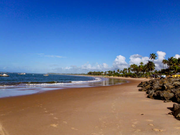 istock Idyllic beach in Bahia, Brazil 2163475343