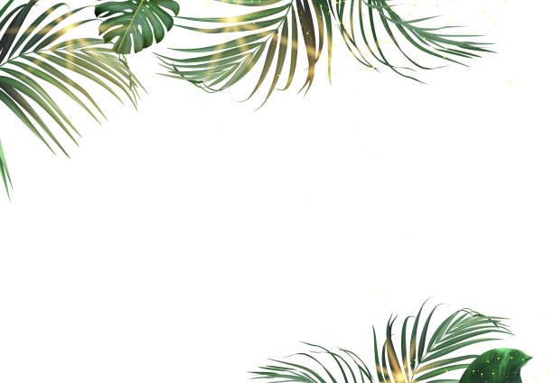 istock Tropical flowers and leaves vector design card. Sun rays light, sunset palm leaves, emerald monstera, jungle palm 2163476041
