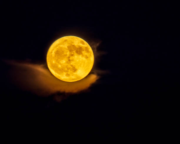 istock Buck Full Moon July 2024 2163487428