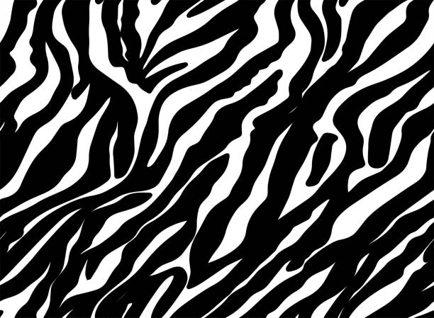 istock Seamless Zebra Tiger Pattern Textile Texture. Black and White Animal Skin Dress Fabric Print. 2163489306