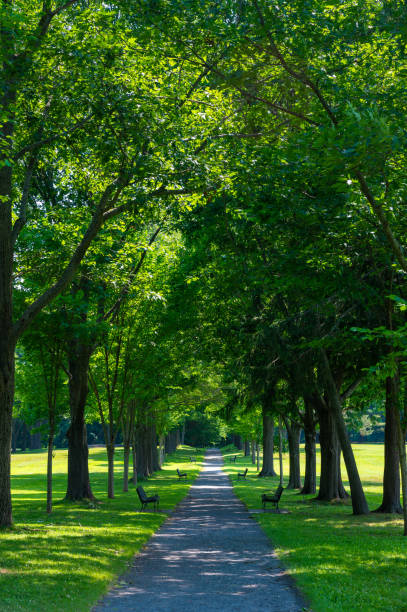 Public park in front of Maine State Capitol during summer day