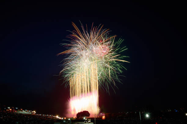 istock Colorful fireworks of various colors over night sky, 2163489483