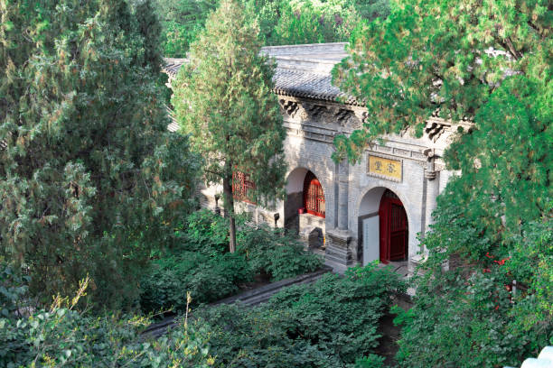 The pagodas are the tallest set of twin pagodas in China. They are both eight-cornered, with the lowest floor being comparatively taller than the rest, the size of the upper floors progressively decreasing. The West Pagoda is 54.78 meters tall, with the lowest floor’s circumference being 4.16 meters. The pagoda’s eaves are painted with emerald green glaze. The East Pagoda is 53.3 meters high, and the lowest floor’s circumference is 4.36 meters. On top of the East pagoda are three magic gourds (宝葫芦), with the upper two parts being made of copper. pagodas gemelas del templo yongzuo en taiyuan, shanxi: torres gemelas con edificios circundantes. el templo contiene aproximadamente 260 estelas de piedra, ya que es el lugar donde se trasladaron las estelas de los templos de la zona que ya no existen.