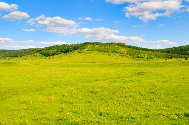 Green meadow, trees and hills. Beautiful summer landscape, Moldova.