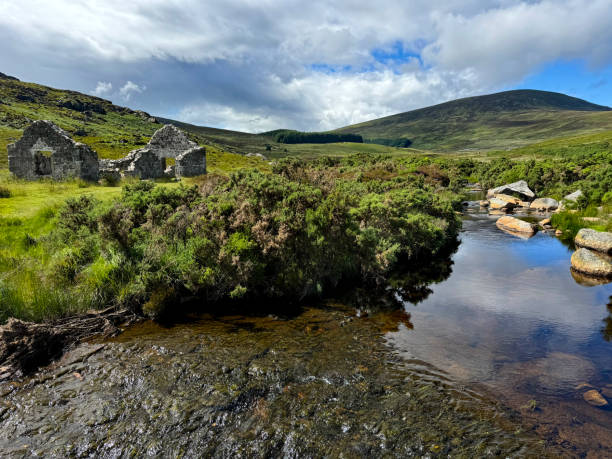 Beautiful view on the river and old cottage in Wicklow mountains, Ireland on a sunny day