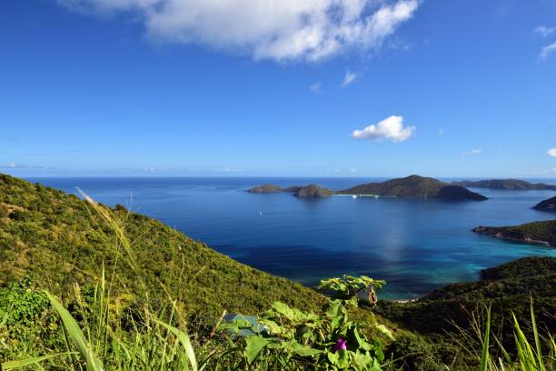 istock Sailing yachts in the calm bay between the islands 2163500980