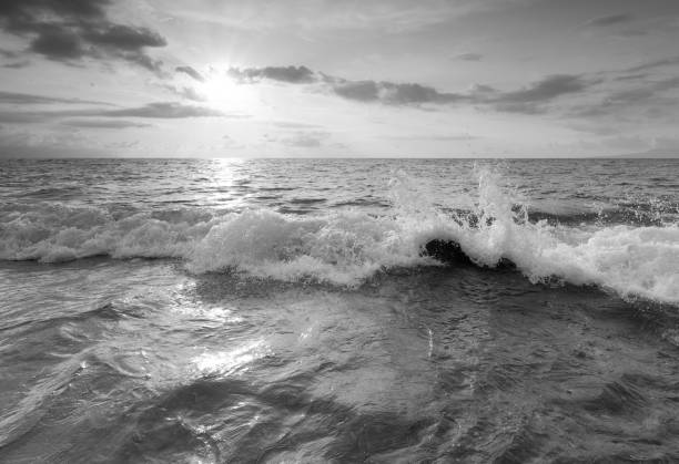 istock Ocean Sunset Seascape Surf Wave Dramatic Sea Landscape Water Reflection Black And White 2163503812