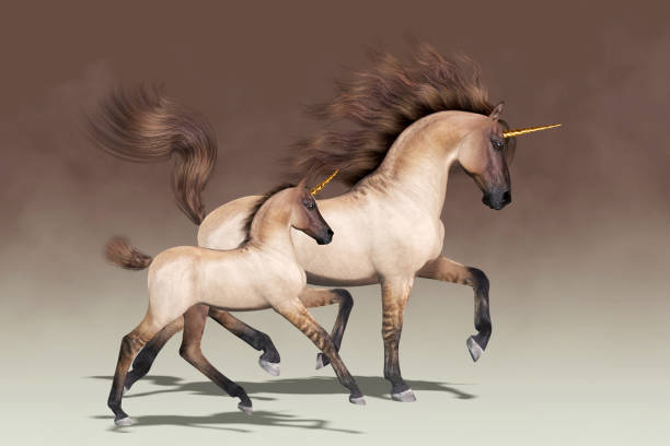 Grulla horses are known for their distinctive coat color and primitive markings, such as shoulder and dorsal stripes, black barring on the lower legs, and a dark head.