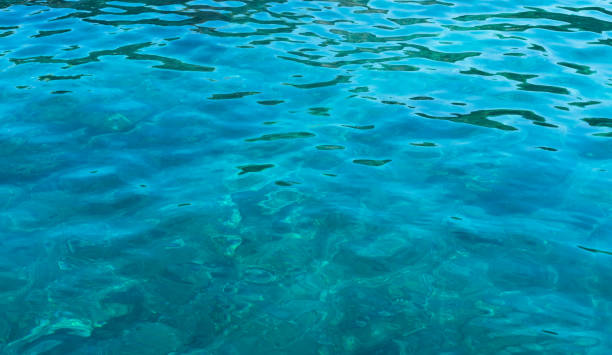 istock Blurred surface of turquoise water. Turquoise sea surface. Selective focus. Copy space. 2163506503