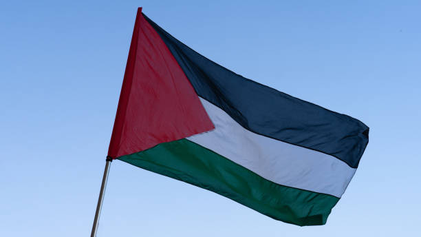 istock Palestinian flag with 4 colors 2163507812