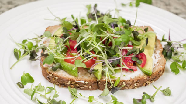 istock Avocado, tomato, and microgreen open-faced sandwich on  multigrain  and seeds bread 2163507872