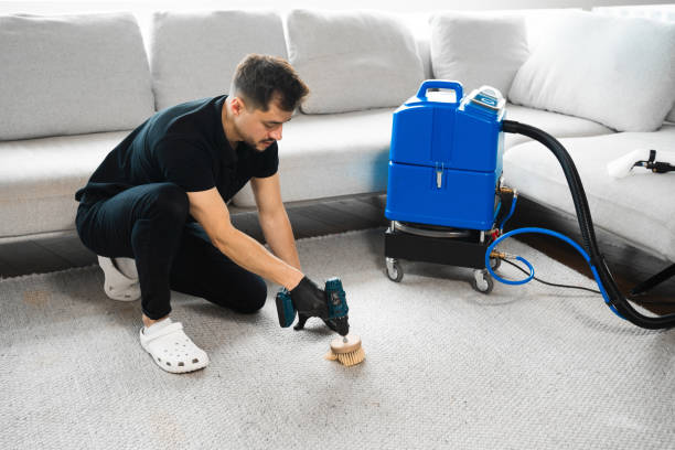 Rug cleaning