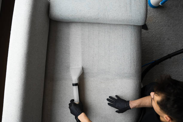 istock Extracting dust and dirt, removing spots from sofa using extractor to clean upholstered furniture. Refreshing sofa and cushions from dust and dirt with dry-cleaning extractor. 2163508735