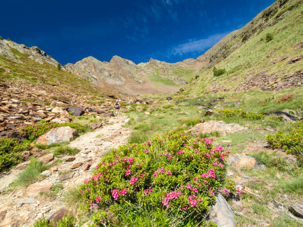 istock Pyrenees, landscape in the Comapedrosa natural park, Andorra 2163509767