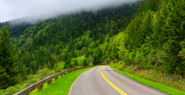 A Bend in the Blue Ridge Parkway