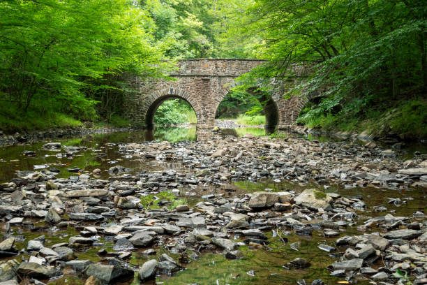 istock Bowman's Hill Wildlife Preserve Bridge 2163514712