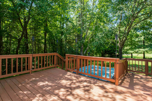 istock Wooden Deck Surrounded By Dense Green Foliage And Lush Trees On A Sunny Day. 2163515749