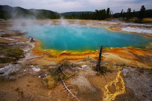 istock Biscuit Basin Yellowstone National Park Wyoming 2163517969