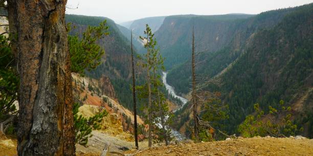 istock Yellowstone National Park Wyoming 2163517988