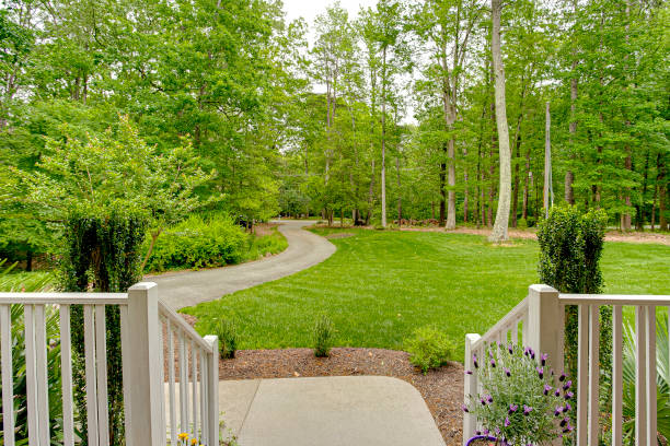 istock Inviting Front Yard Pathway With Lush Greenery Leading To The Forest. 2163522818