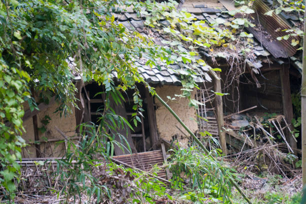 istock Abandoned house with mud walls 2163523163