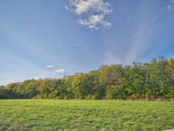 Photo of farmland & countryside in late summer early autumn made by Medium Format camera