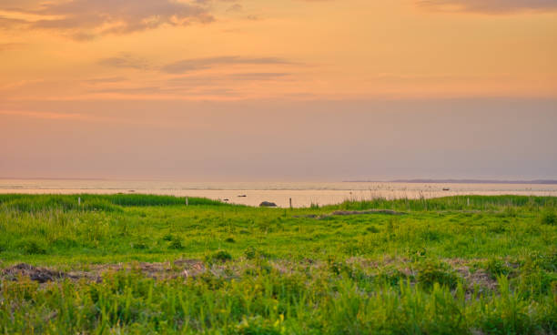 Green fields and blue sky in spring and early summer