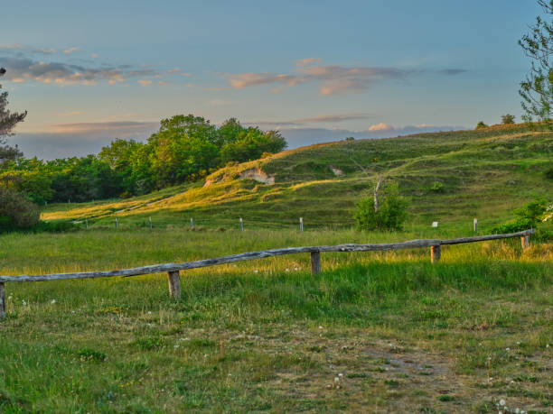 Green fields and blue sky in spring and early summer