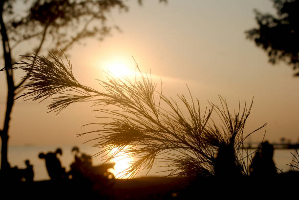 A view from the beach.