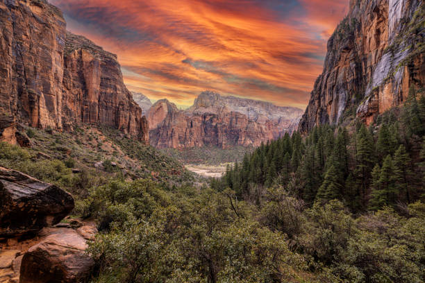 Zion National Park, Utah, USA
