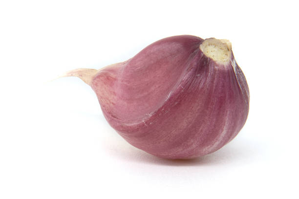 Garlic bulb isolated. Garlic bulb on white background. Unpeeled garlic bulb
