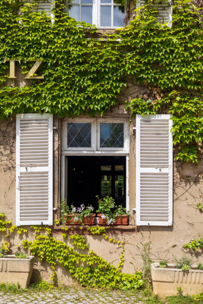 istock Ivy-Covered House with Open Window and Flower Pots 2163540783
