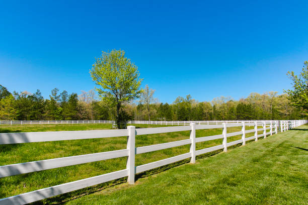 istock Wide Grassy Pasture With A White Fence Under A Bright Blue Sky On A Sunny Day 2163548122
