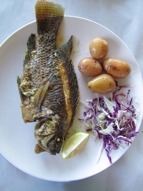 delicious and fresh dish with baked fish top view