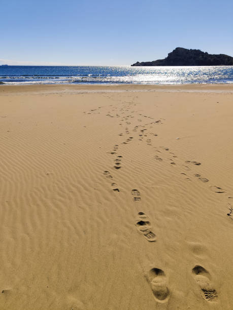 istock landscape with human footprints on a sandy sea beach 2163549655