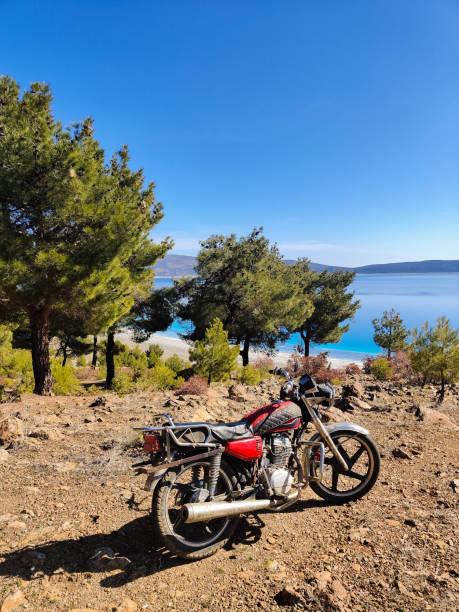 istock beautiful sea landscape with big trees and motorcycle 2163549735