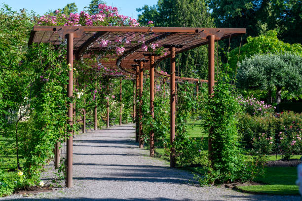 istock Public garden with big rose protal pergola 2163553481