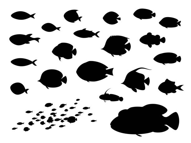 tropical fish - fischschwarm stock-grafiken, -clipart, -cartoons und -symbole