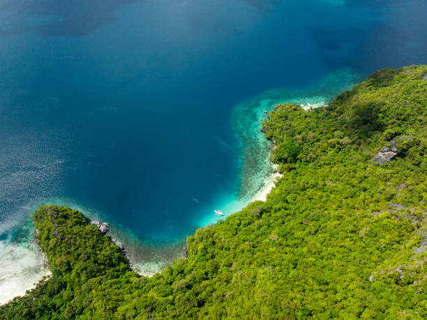 istock Cadlao Island in El Nido, Philippines. 2163556879
