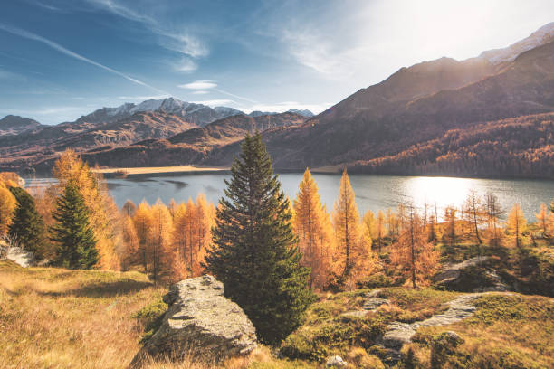 istock Typical autumn landscape in the high mountains 2163557892