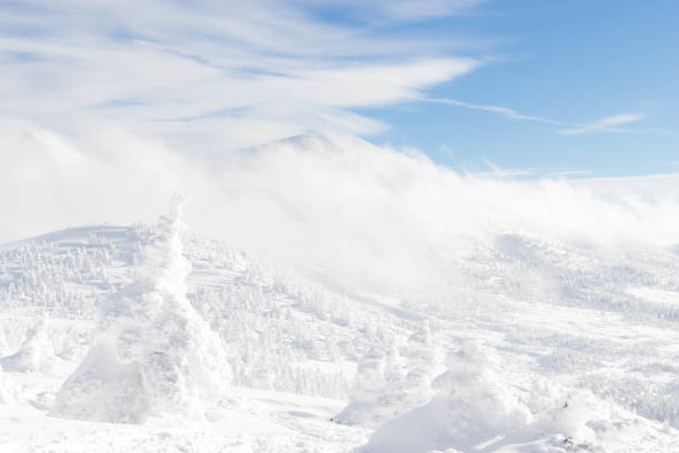 Landscape view of snow covered tree and snow ground on snow mountain with blue sky