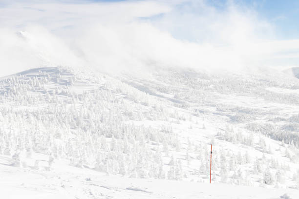 Landscape view of snow mountain with snow covered tree in hazy weather day