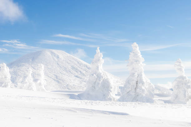Landscape view of snow covered tree and snow ground on snow mountain with blue sky